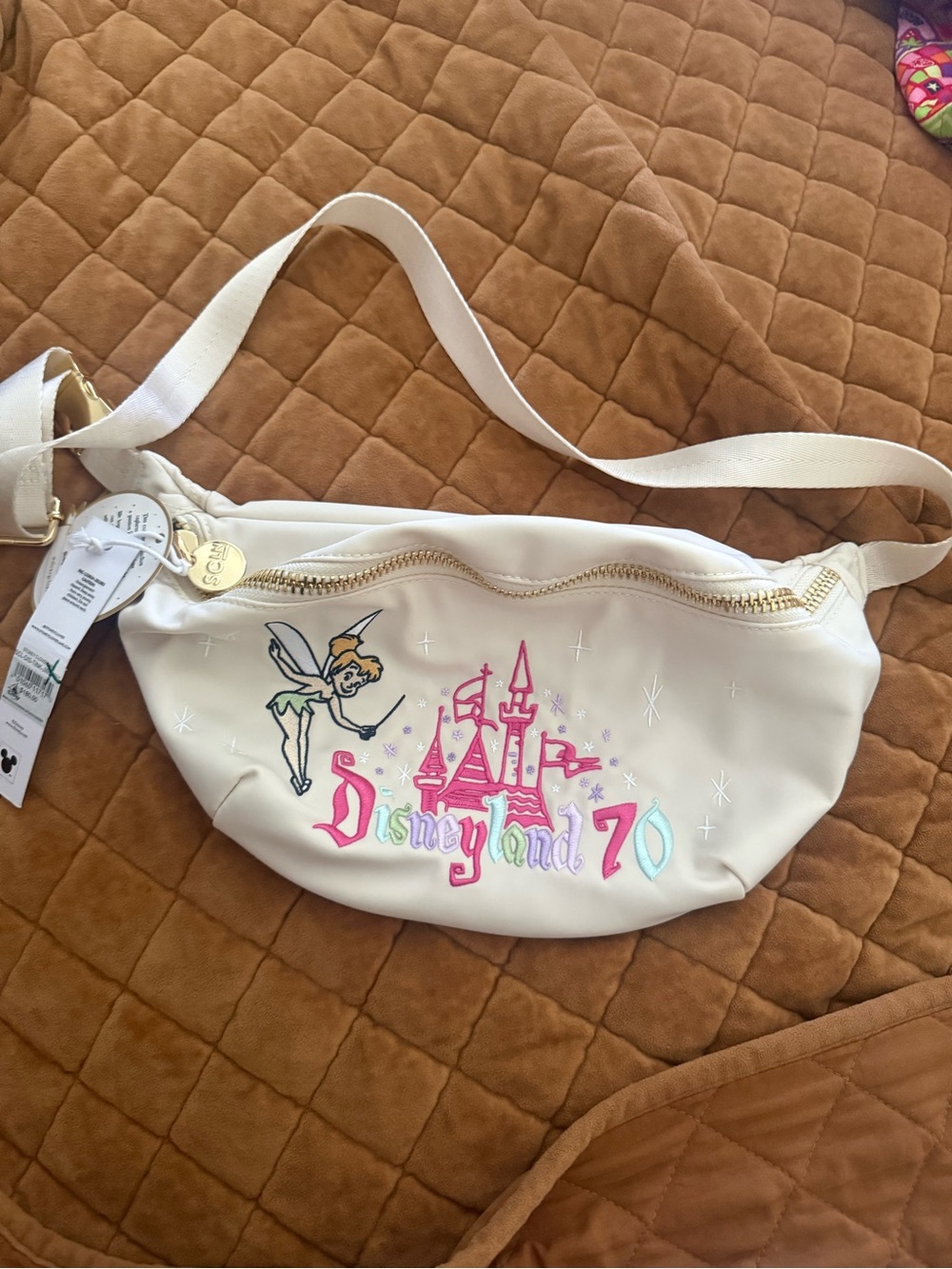 Stoney Clover Lane Cream Crossbody with Pink & Aqua Disneyland 70 Embroidery - Picture 2 of 9
